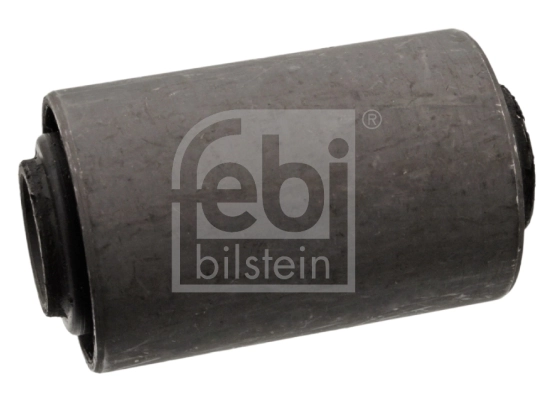 Bushing, leaf spring